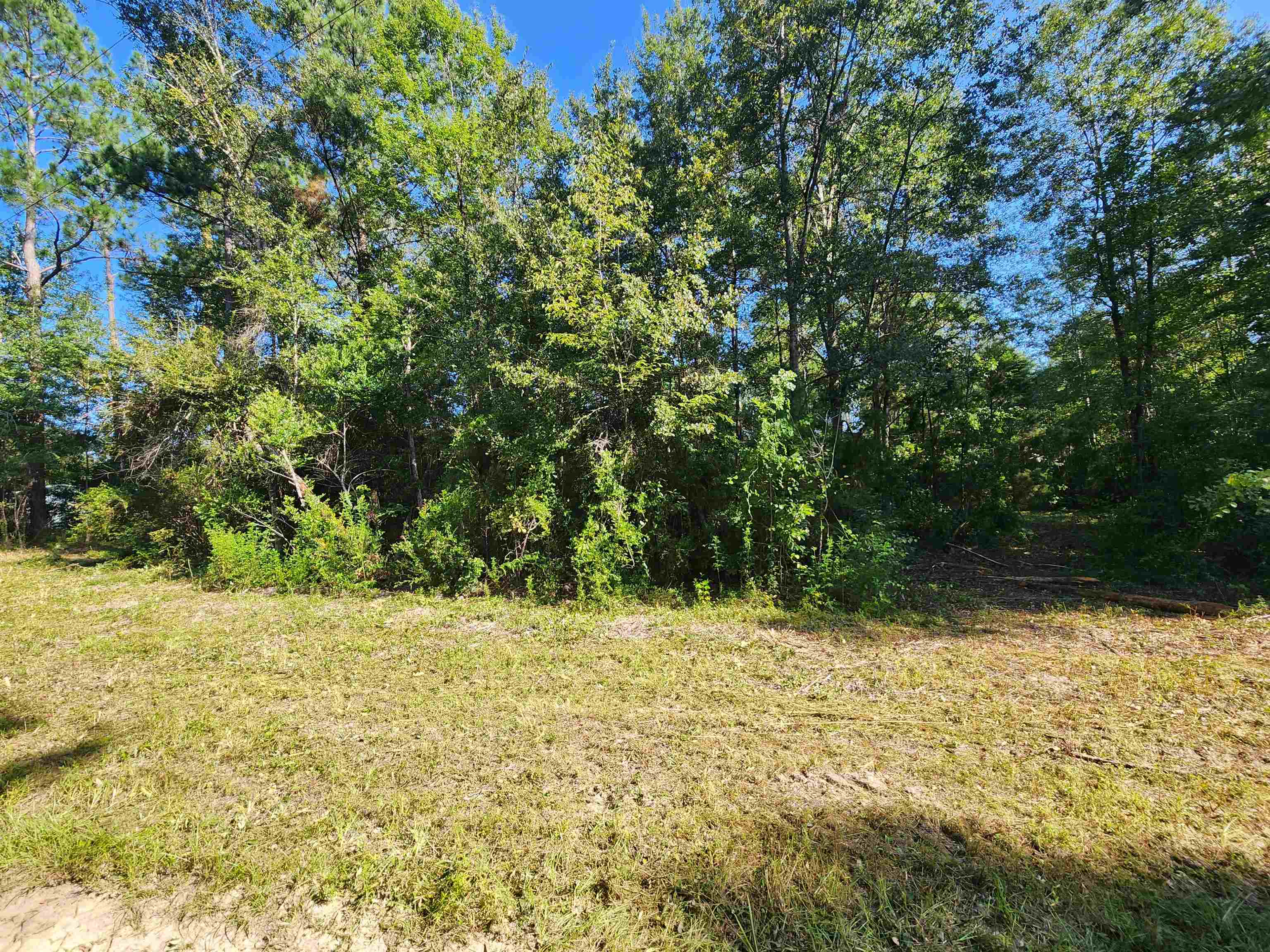 15189 Lake Mystic Church Road Bristol, FL 32321 - Photo 6 of 6
