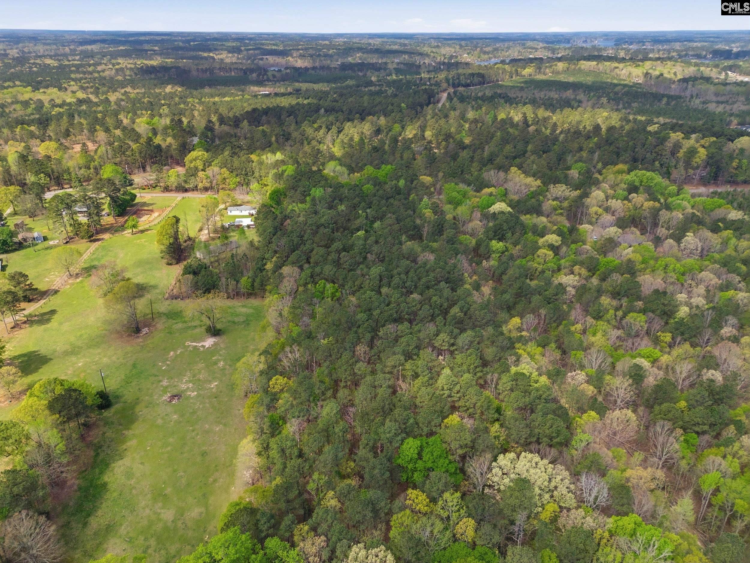 0 Wildwood Rd Extension Leesville, SC 29070 - Photo 12 of 16
