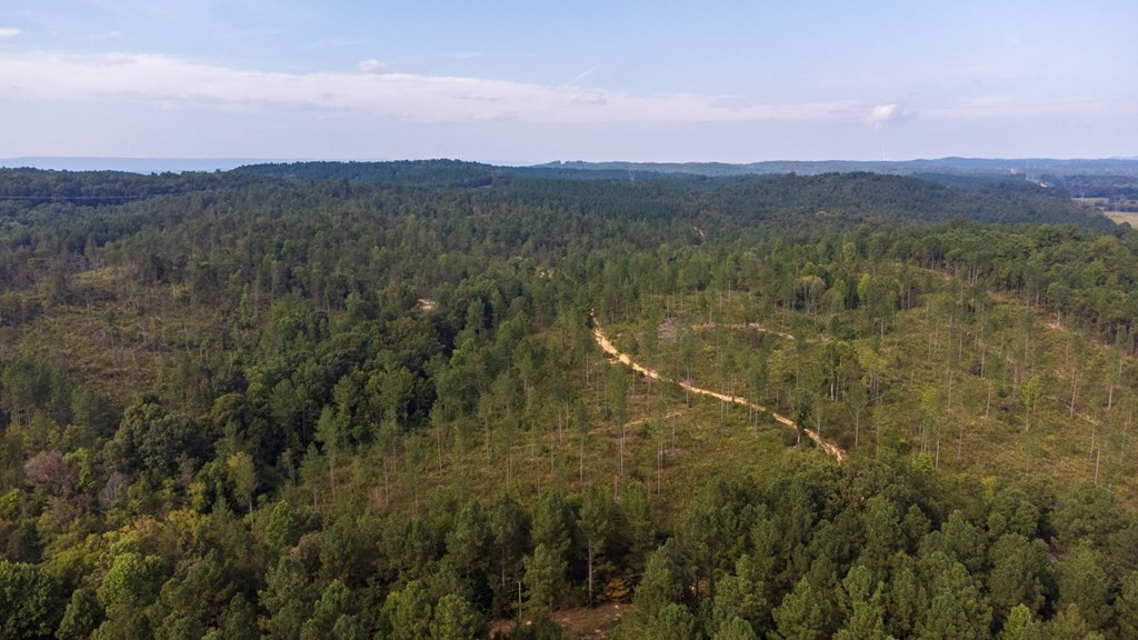 0 Cameron Road Decatur, TN 37322 - Photo 3 of 16