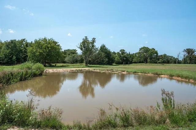 a body of water with a tree in the background