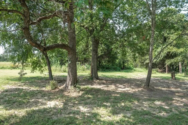 a view of a tree in the middle of a yard