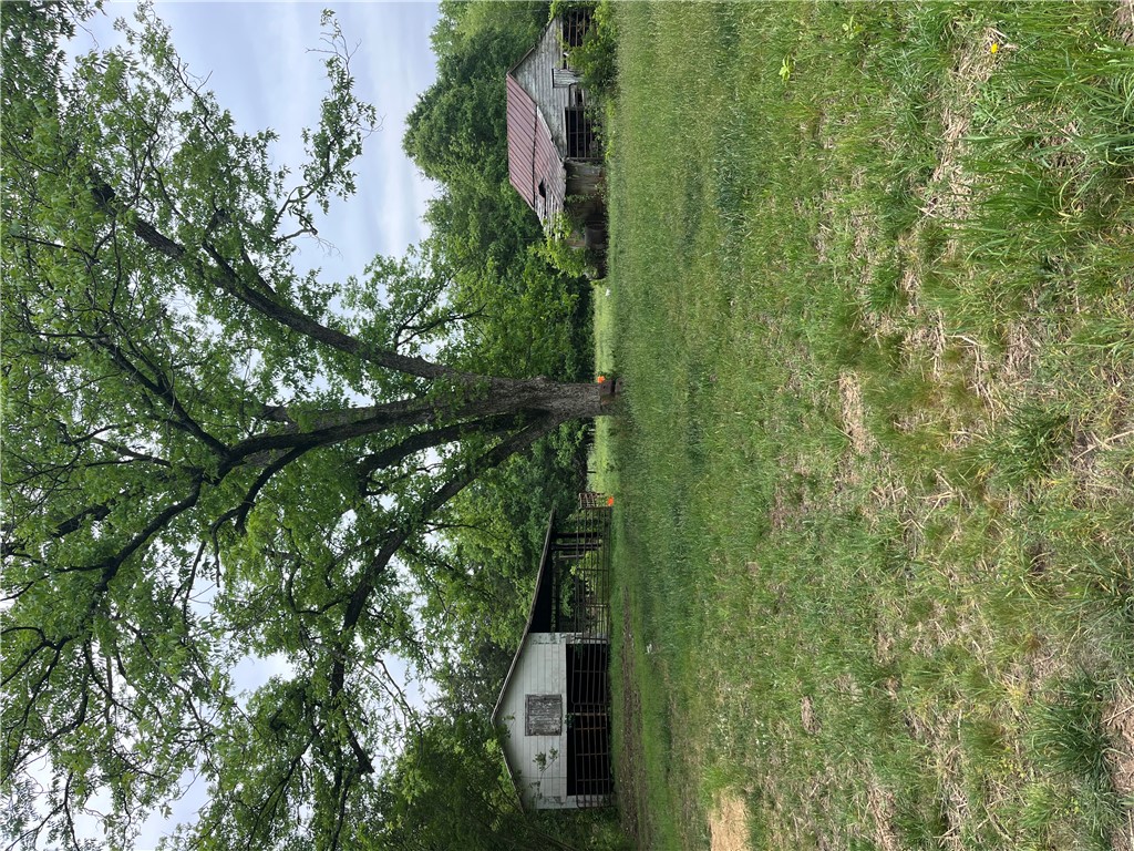 107 Humphrey Wright Road Honea Path, SC 29654 - Photo 23 of 23 Expansive green yard with mature trees and rustic outbuildings offer a serene rural escape.
