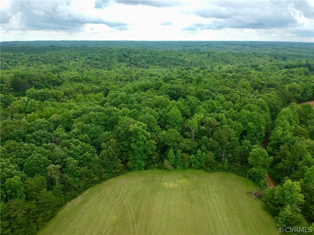 0 Leda Grove Road Nathalie, VA 24577 - Photo 5 of 25 Gallery Image 5