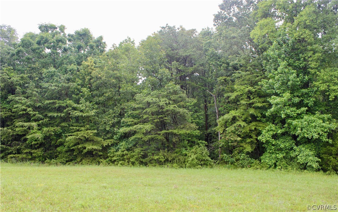 0 Leda Grove Road Nathalie, VA 24577 - Photo 6 of 25 Gallery Image 6