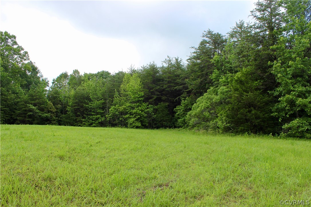 0 Leda Grove Road Nathalie, VA 24577 - Photo 8 of 25 Gallery Image 8