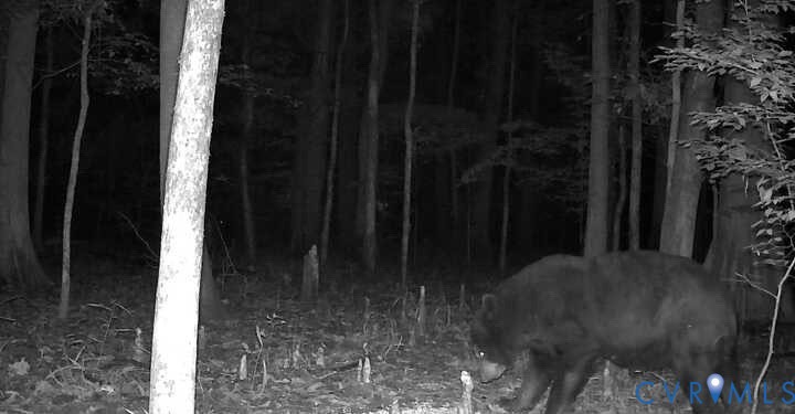 0 Reedy Creek Road Freeman, VA 23856 - Photo 14 of 21 a close view of water heater