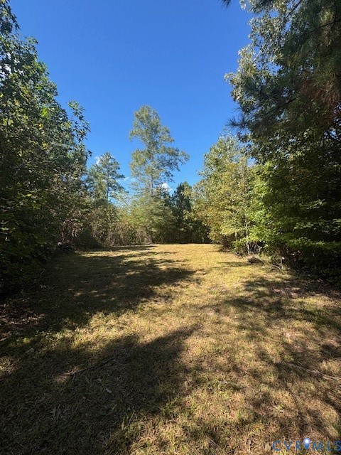 0 Reedy Creek Road Freeman, VA 23856 - Photo 6 of 21 a view of yard with green space