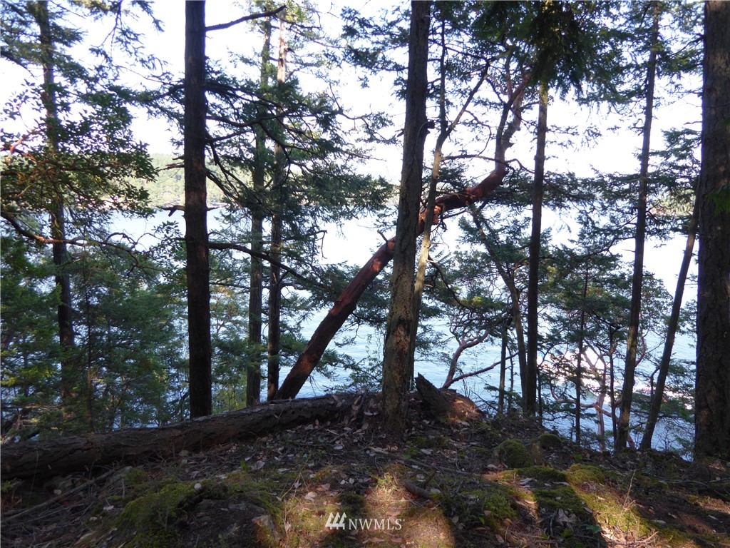 7.5 Rocky Road Eastsound, WA 98245 - Photo 11 of 19 Gallery Image 11
