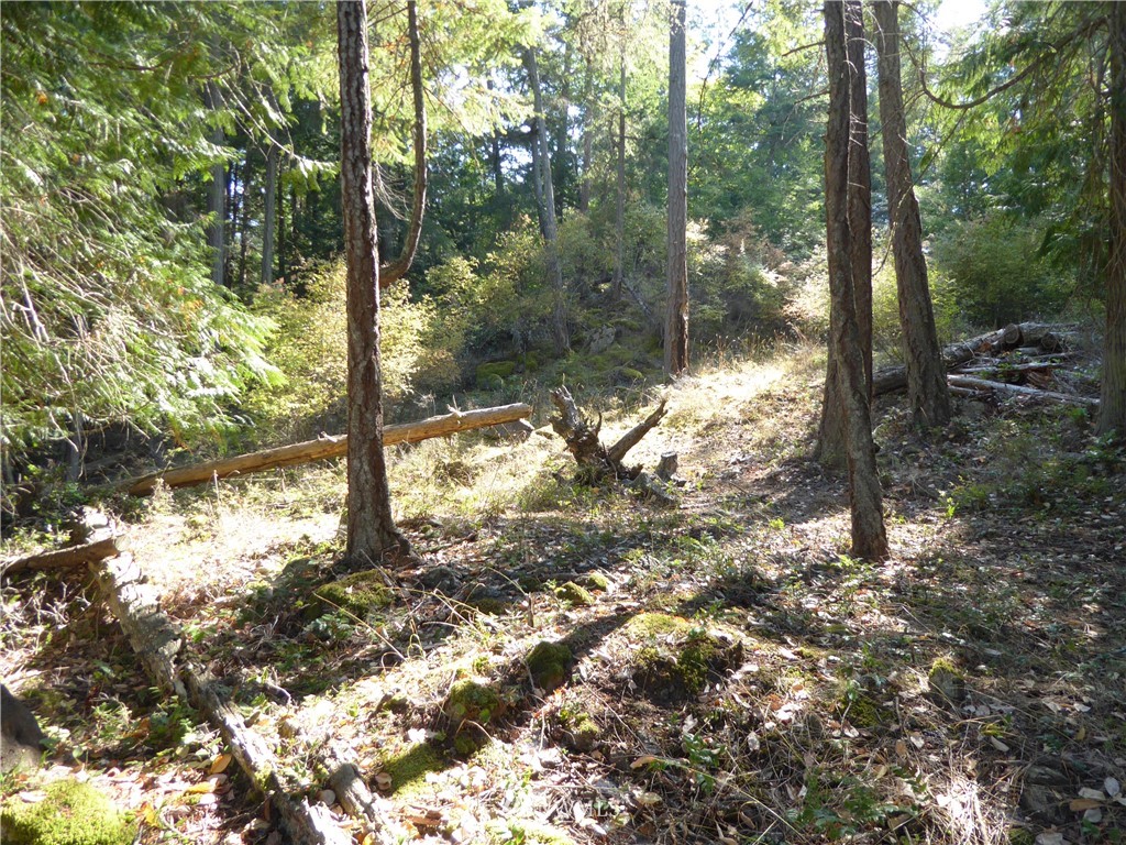 7.5 Rocky Road Eastsound, WA 98245 - Photo 14 of 19 Gallery Image 14