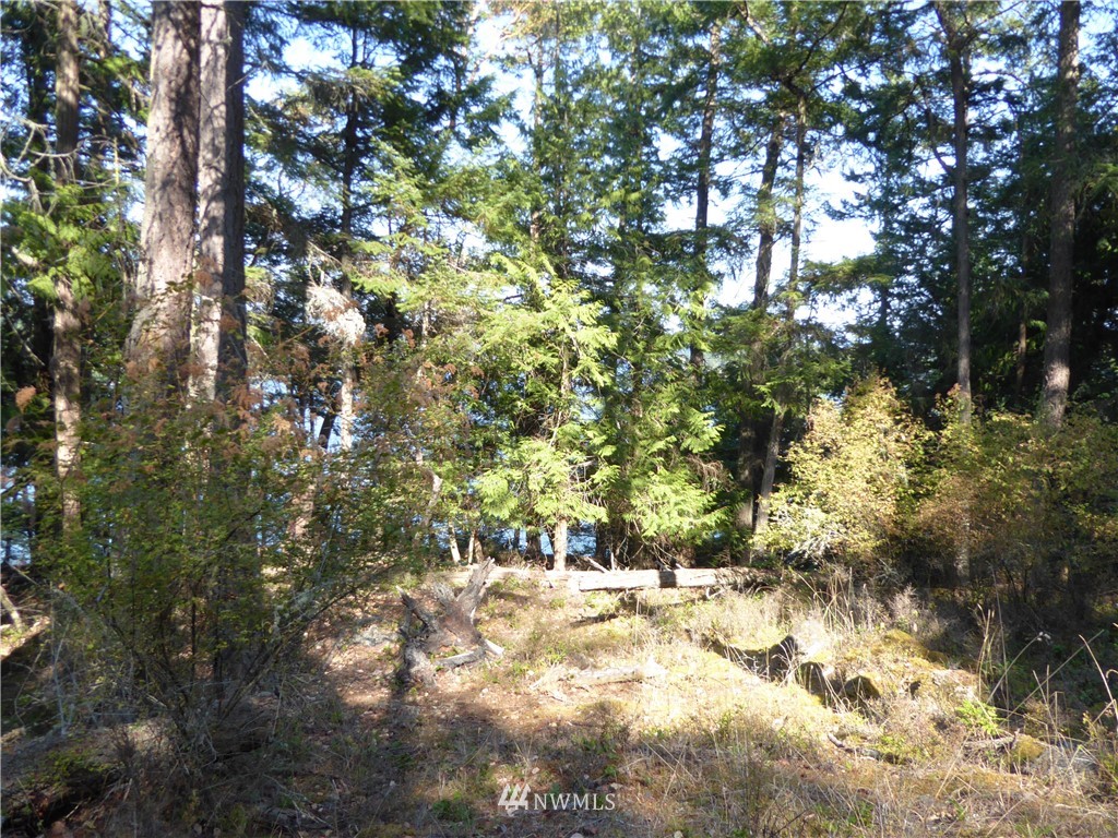 7.5 Rocky Road Eastsound, WA 98245 - Photo 16 of 19 Gallery Image 16