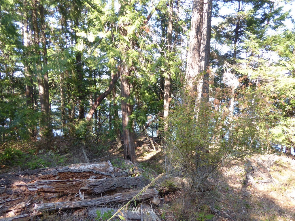 7.5 Rocky Road Eastsound, WA 98245 - Photo 17 of 19 Gallery Image 17
