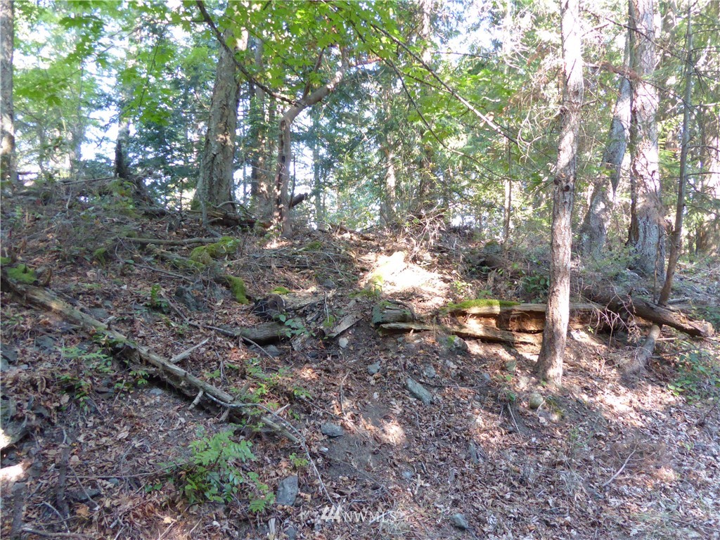 7.5 Rocky Road Eastsound, WA 98245 - Photo 18 of 19 Gallery Image 18