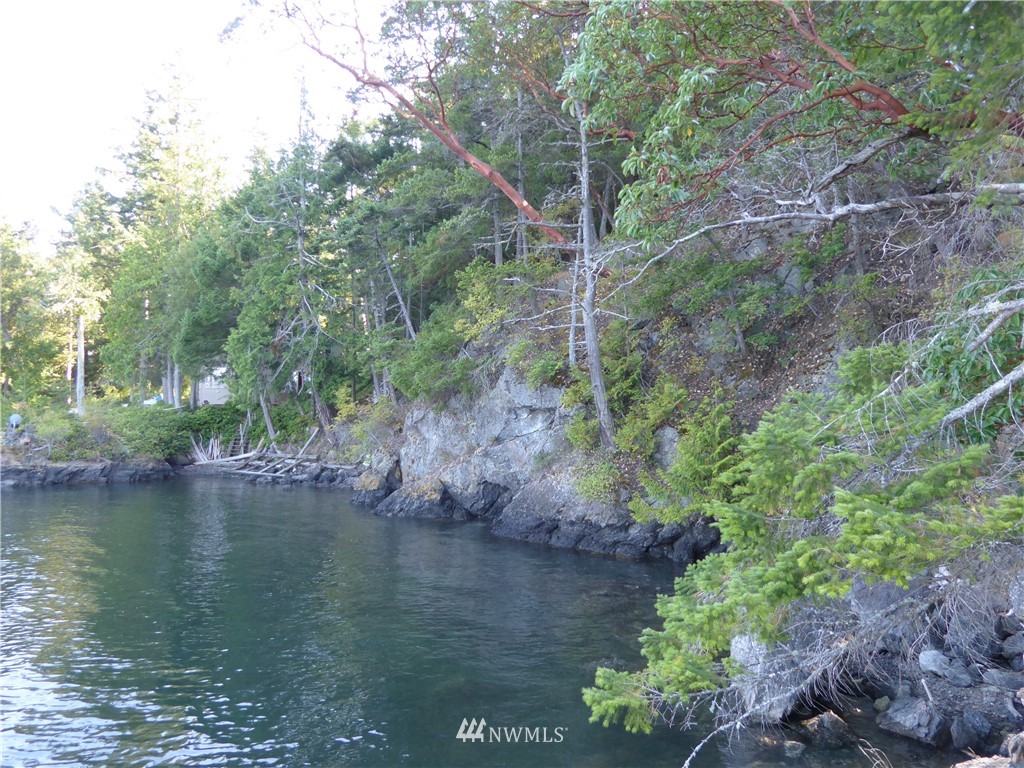 7.5 Rocky Road Eastsound, WA 98245 - Photo 3 of 19 Gallery Image 3
