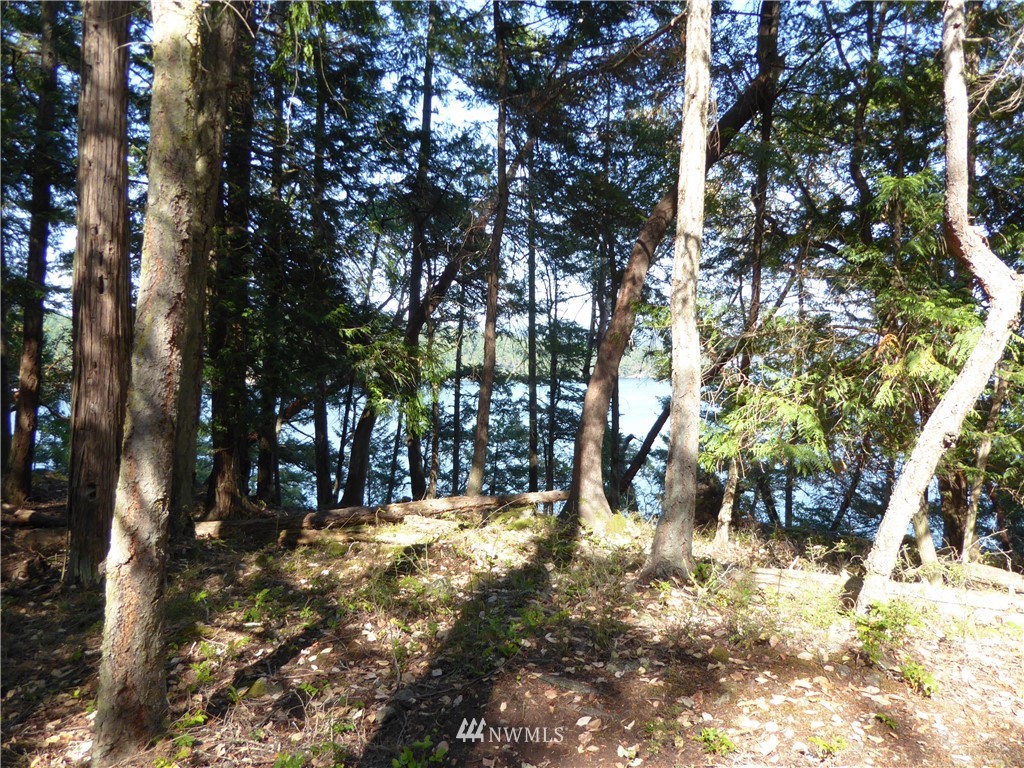 7.5 Rocky Road Eastsound, WA 98245 - Photo 10 of 19 Gallery Image 10