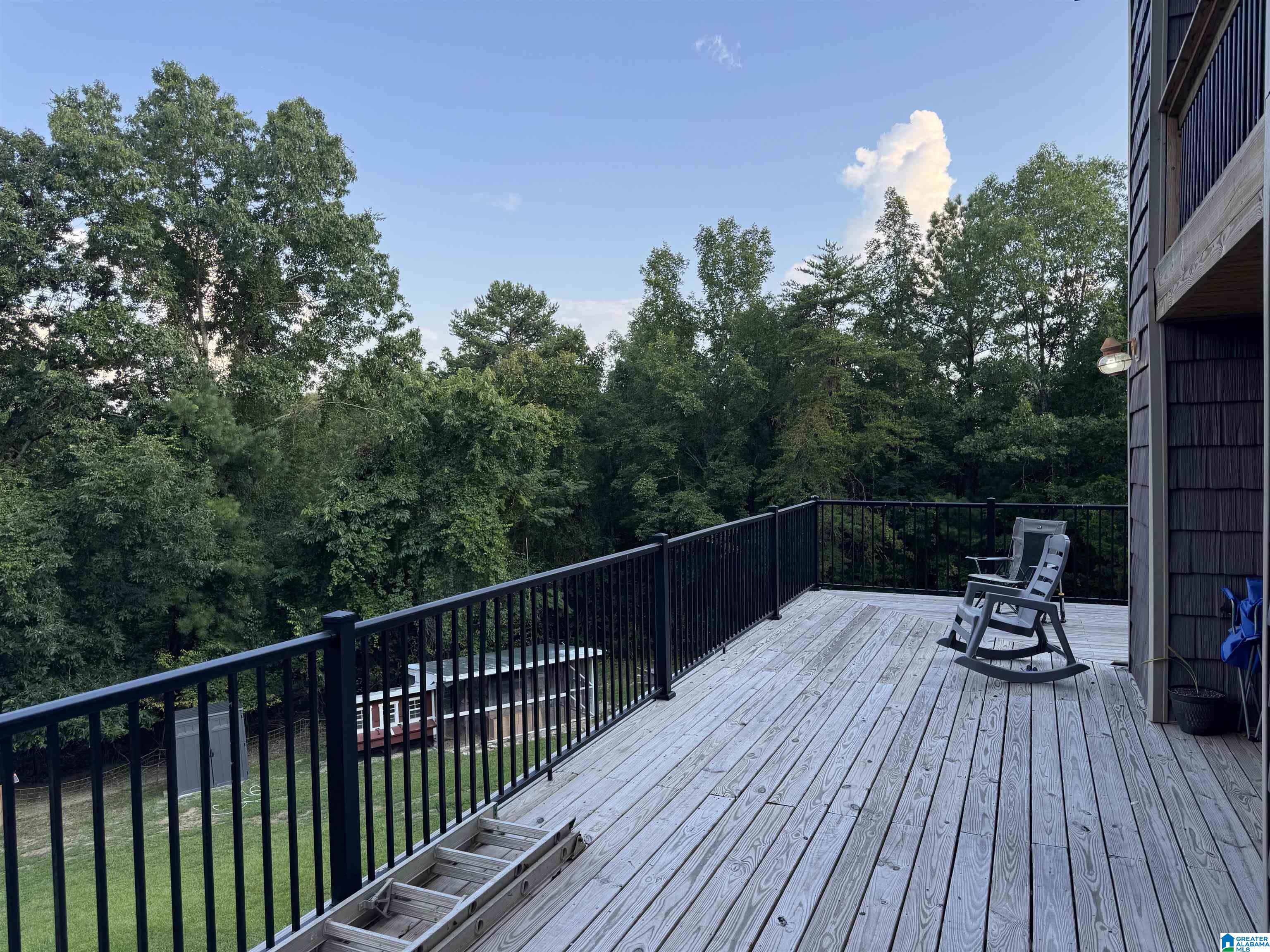 175 Shady Hollow Road Eastaboga, AL 36260 - Photo 40 of 50