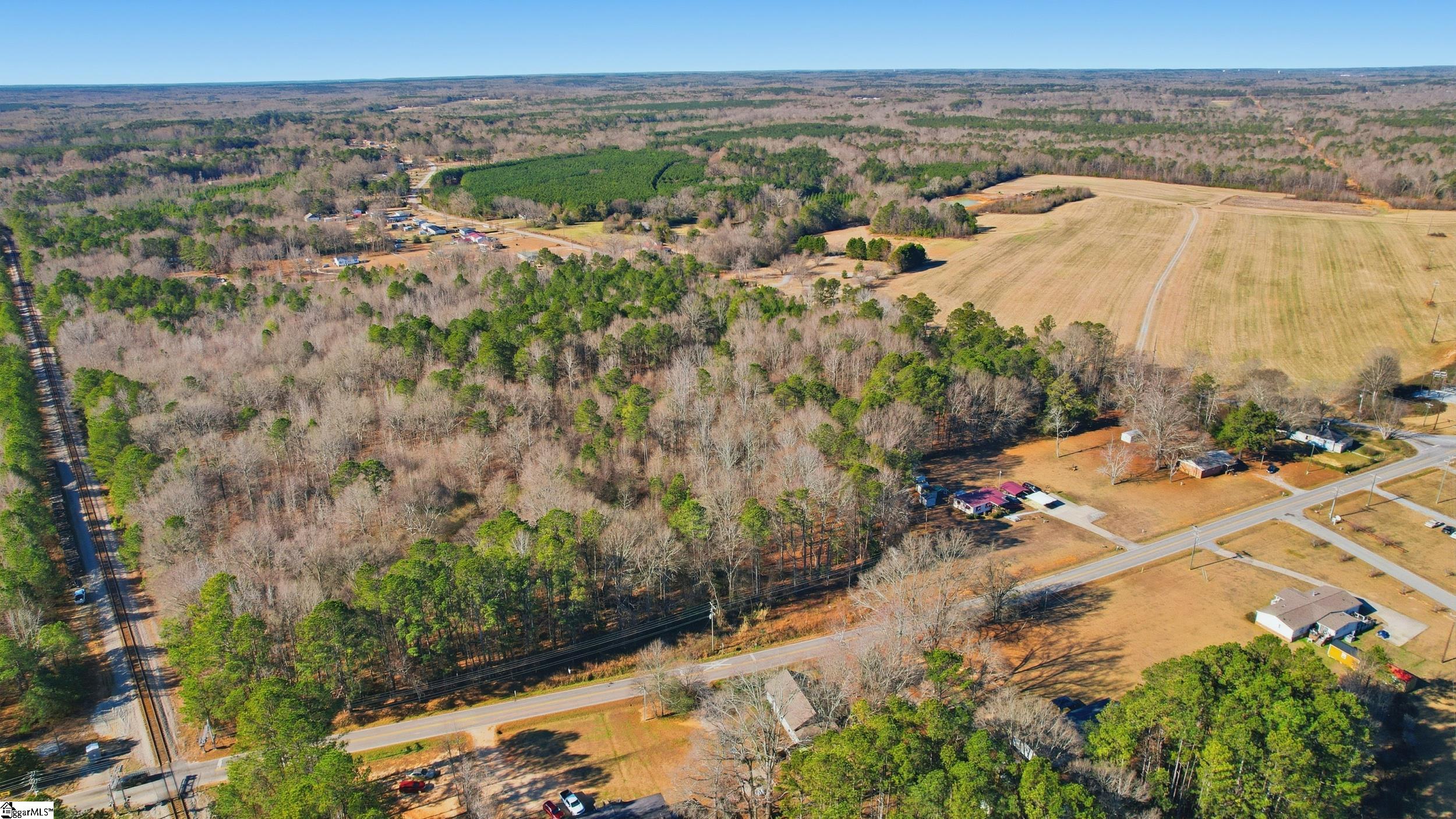 0 Apple Orchard Road Clinton, SC 29325 - Photo 2 of 22