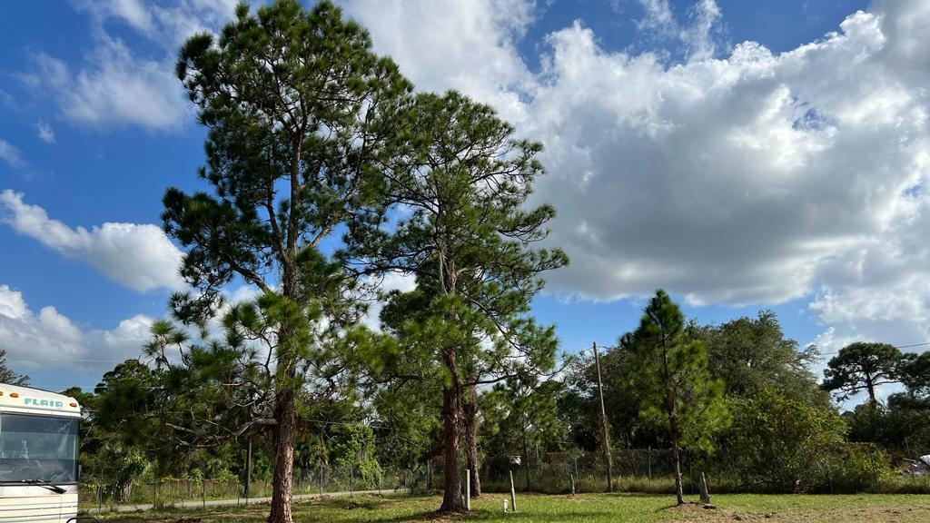 350 North Palomino St  