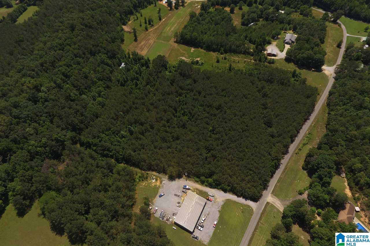 0 Williams Road, Unit 1 Jacksonville, AL 36265 - Photo 5 of 11