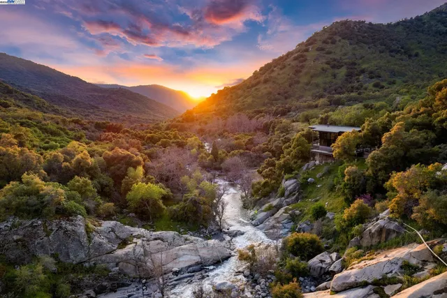 a view of a large tree