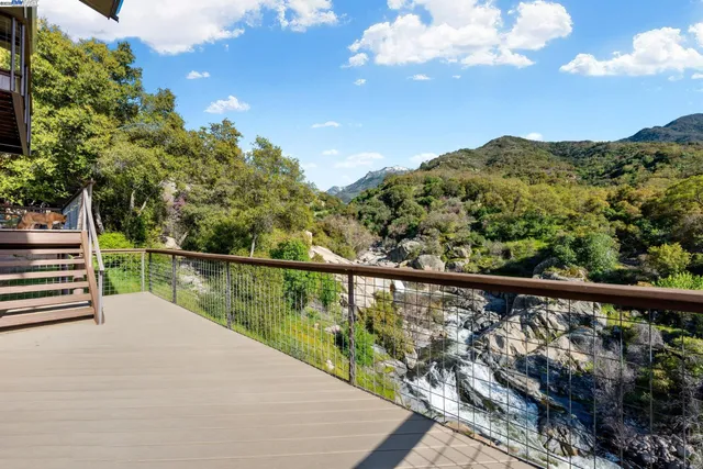 a view of a garden with a mountain