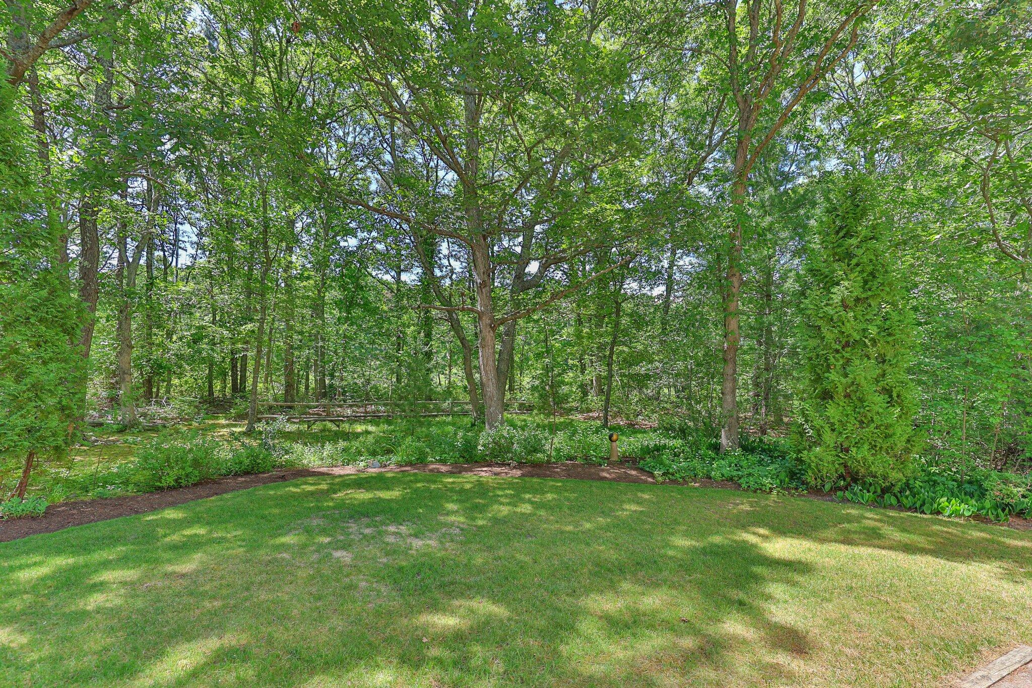 145 Braley Jenkins Road Centerville, MA 02632 - Photo 29 of 33 a view of a lush green forest