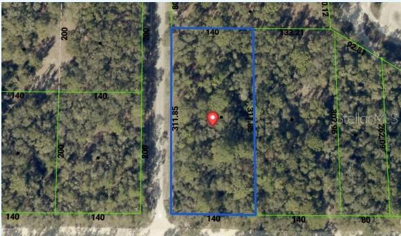 9028 Real Stone Webster, FL 33597 - Photo 3 of 3