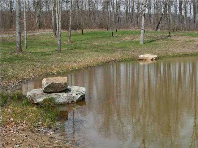 0 Worley Road Whitwell, TN 37397 - Photo 1 of 13 Primary Photo