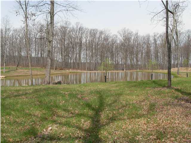 0 Worley Road Whitwell, TN 37397 - Photo 3 of 13 Additional Photo