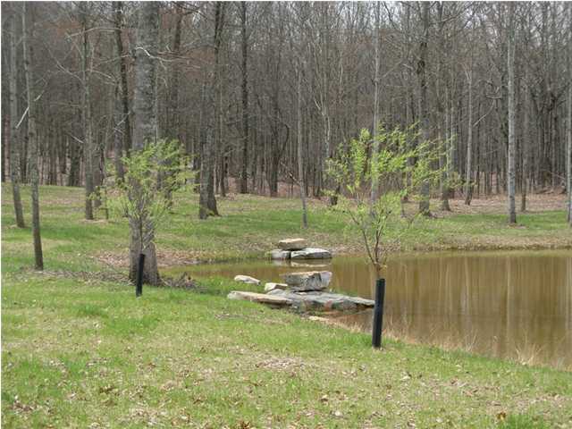 0 Worley Road Whitwell, TN 37397 - Photo 6 of 13 Additional Photo