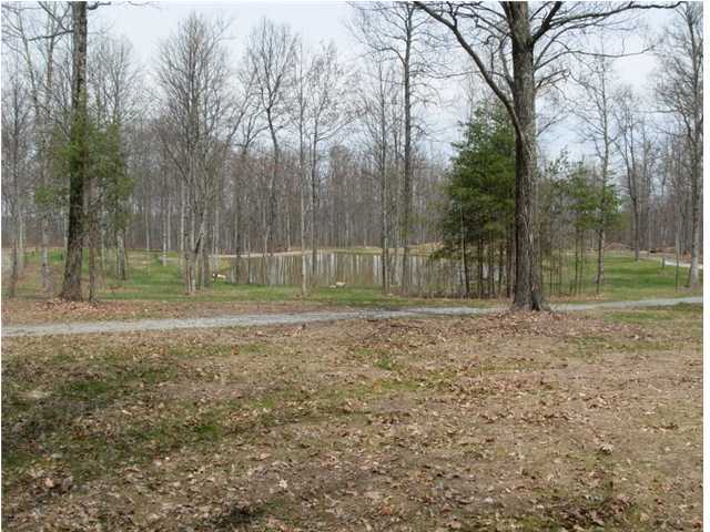 0 Worley Road Whitwell, TN 37397 - Photo 9 of 13 Additional Photo
