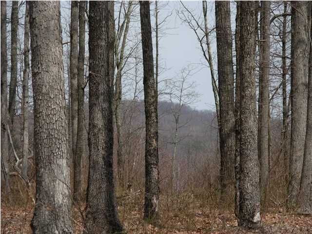 0 Worley Road Whitwell, TN 37397 - Photo 10 of 13 Additional Photo