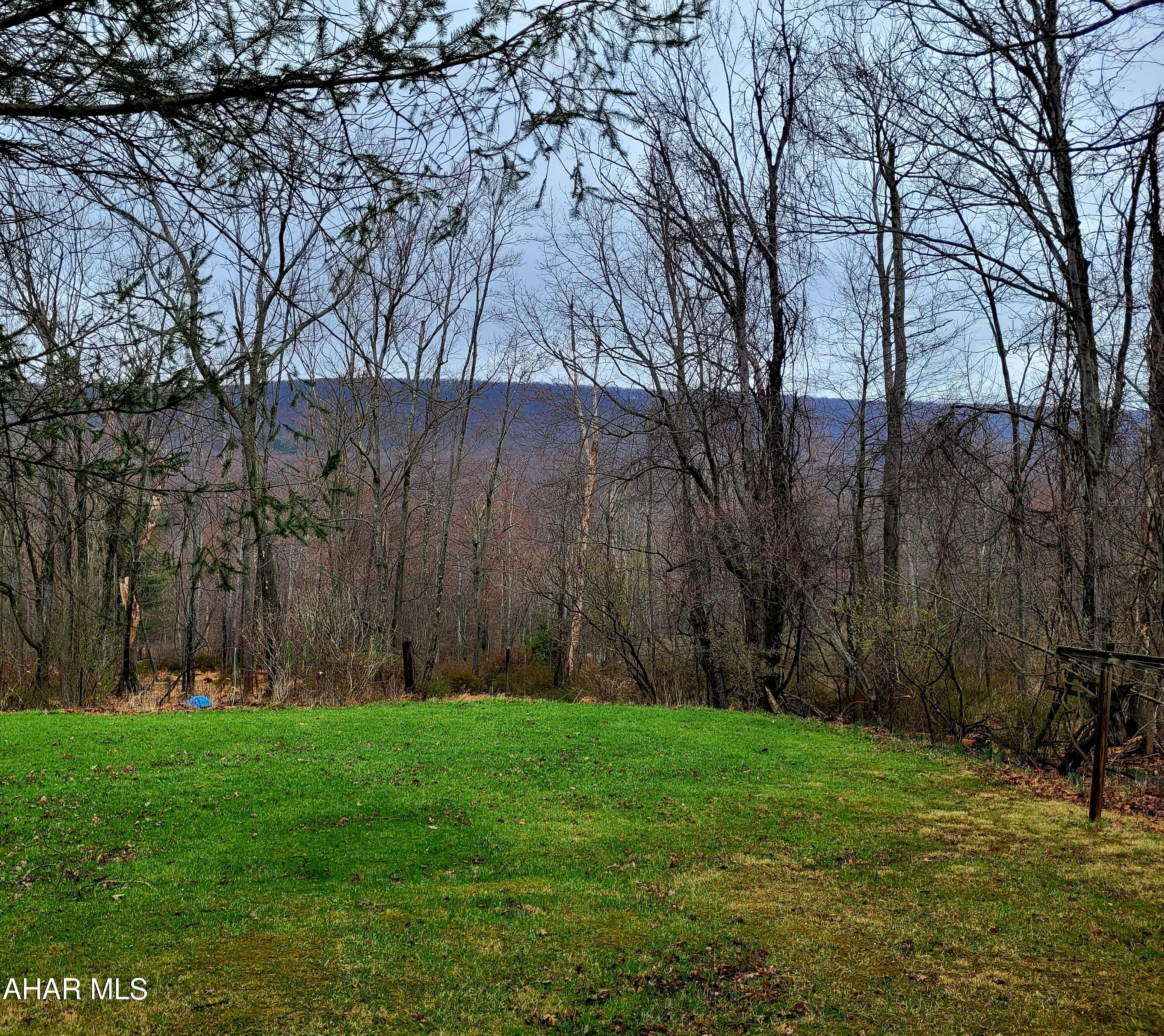 199 Reeds Lane Altoona, PA 16601 - Photo 7 of 25 Great view!