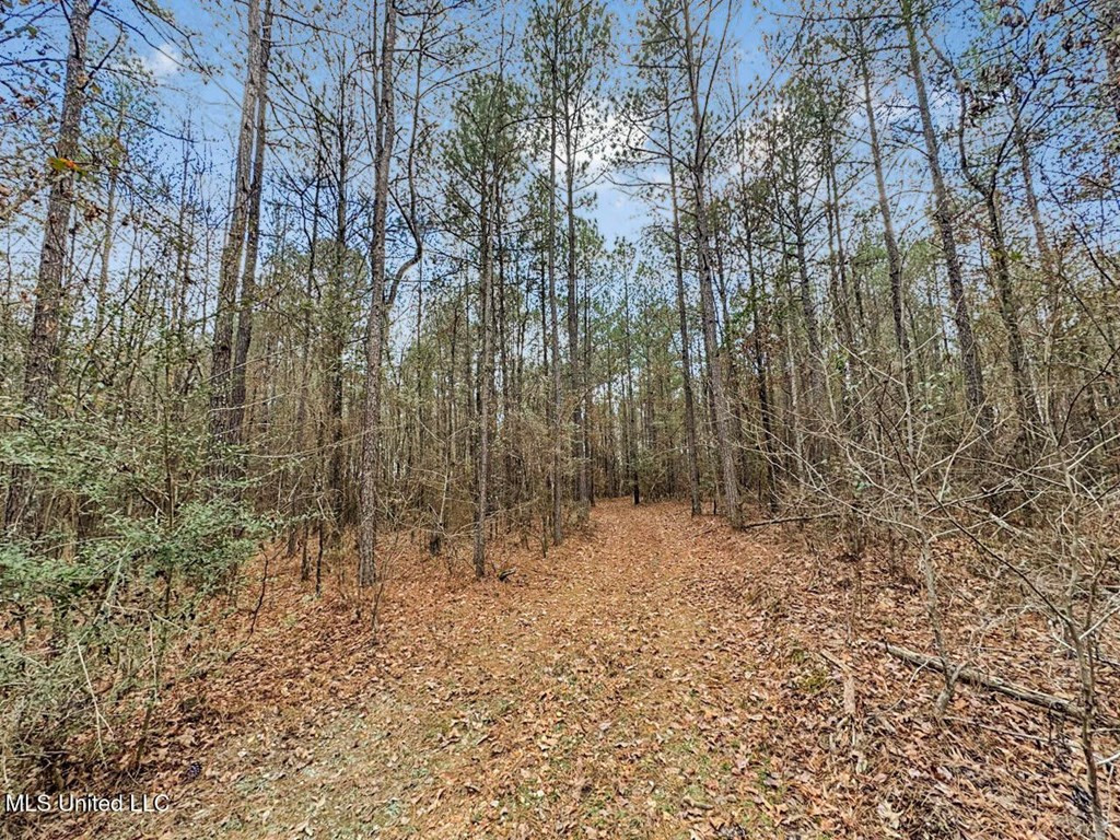 3771 Timberlane Road Northeast Wesson, MS 39191 - Photo 31 of 48 Photo 31