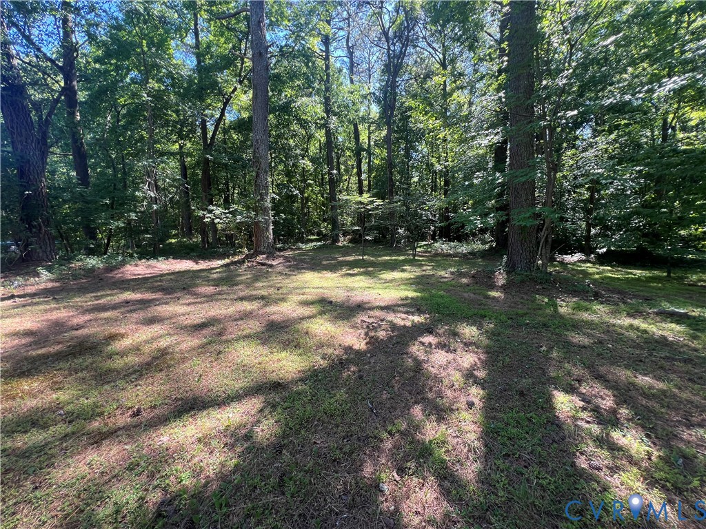 8501 Old Elam Cemetery Road Charles City, VA 23030 - Photo 14 of 14 Wooded lot featuring mature trees and dappled sunl