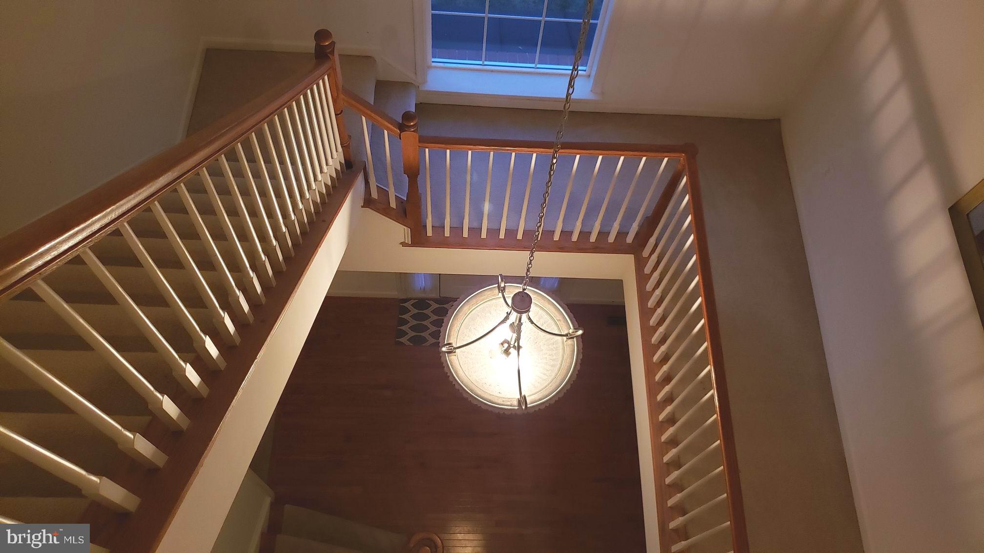 4059 Sapling Way Triangle, VA 22172 - Photo 11 of 11 Stairs view