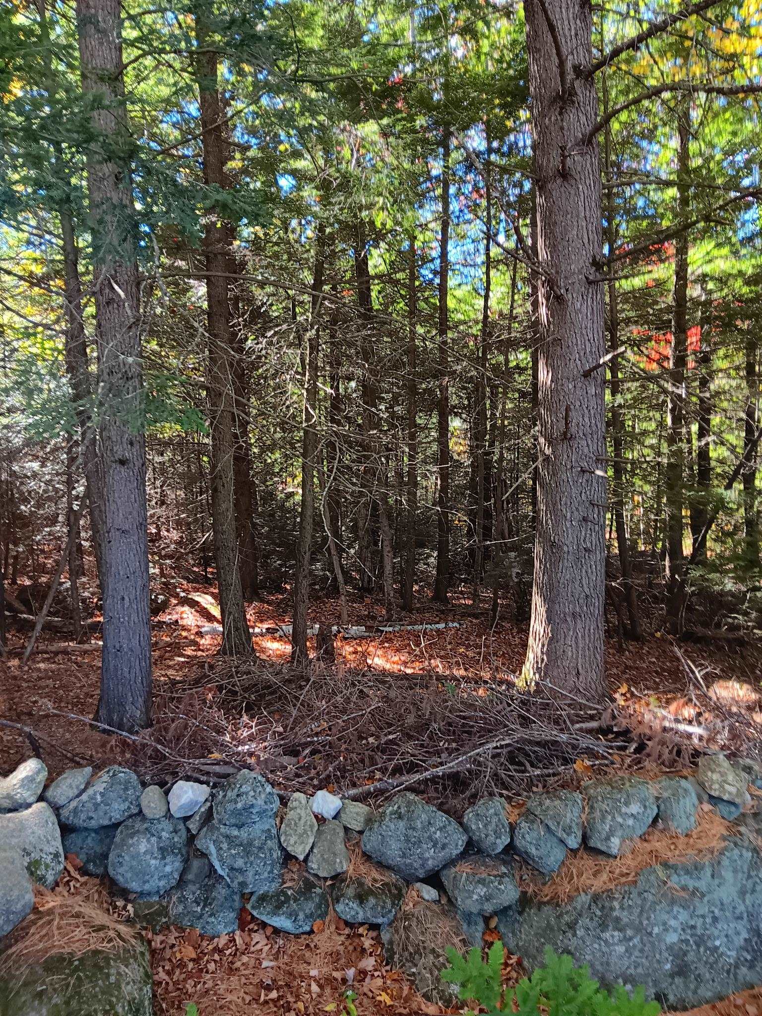 20-46 Dole School House Road Washington, NH 03280 - Photo 2 of 3