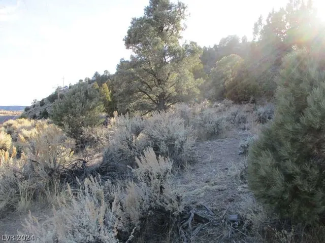 $753,750 | 322 (30.15 Ac), Pioche, NV 89043