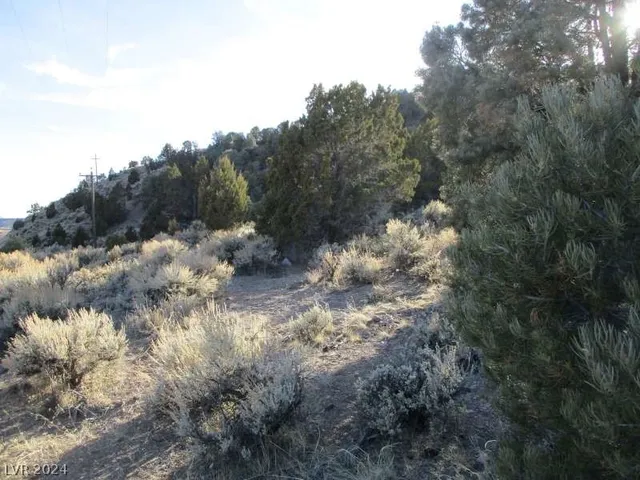 $753,750 | 322 (30.15 Ac), Pioche, NV 89043