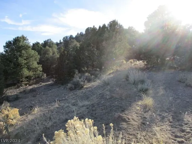 $753,750 | 322 (30.15 Ac), Pioche, NV 89043