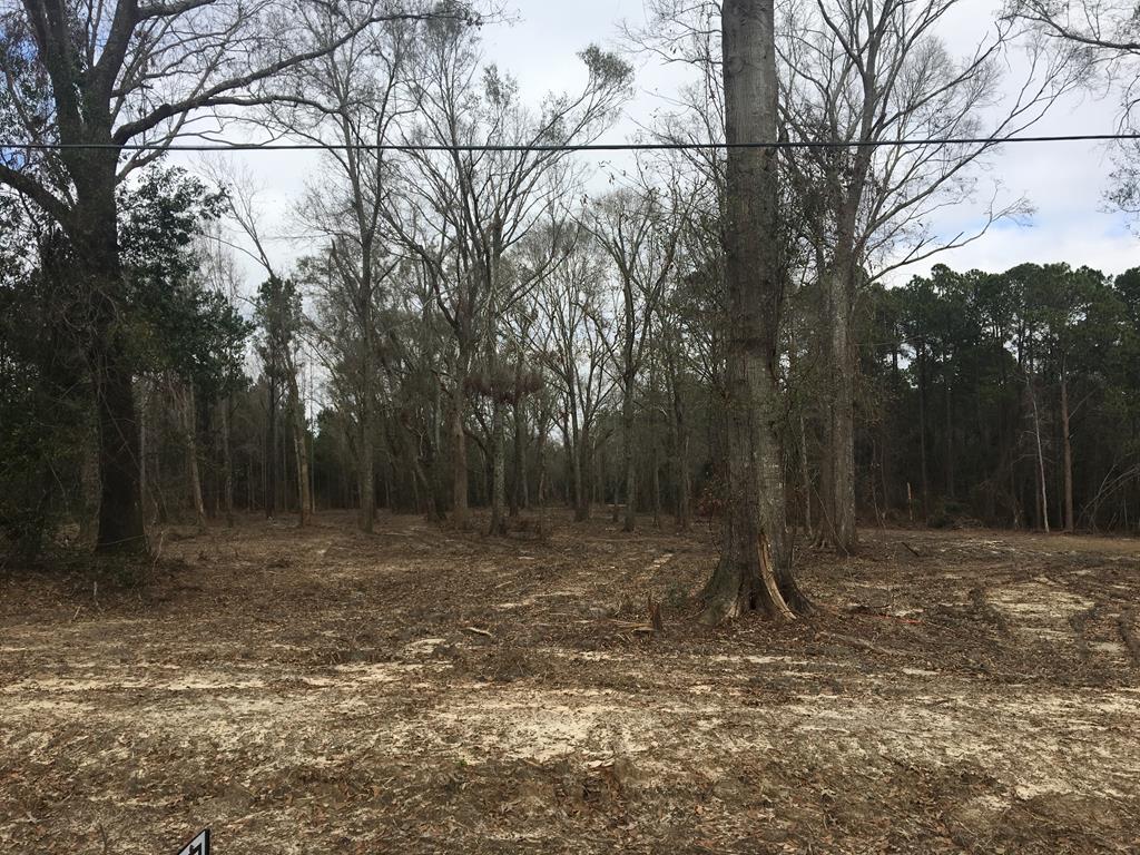 Lot 3 Oppert Road Dothan, AL 36301 - Photo 1 of 1