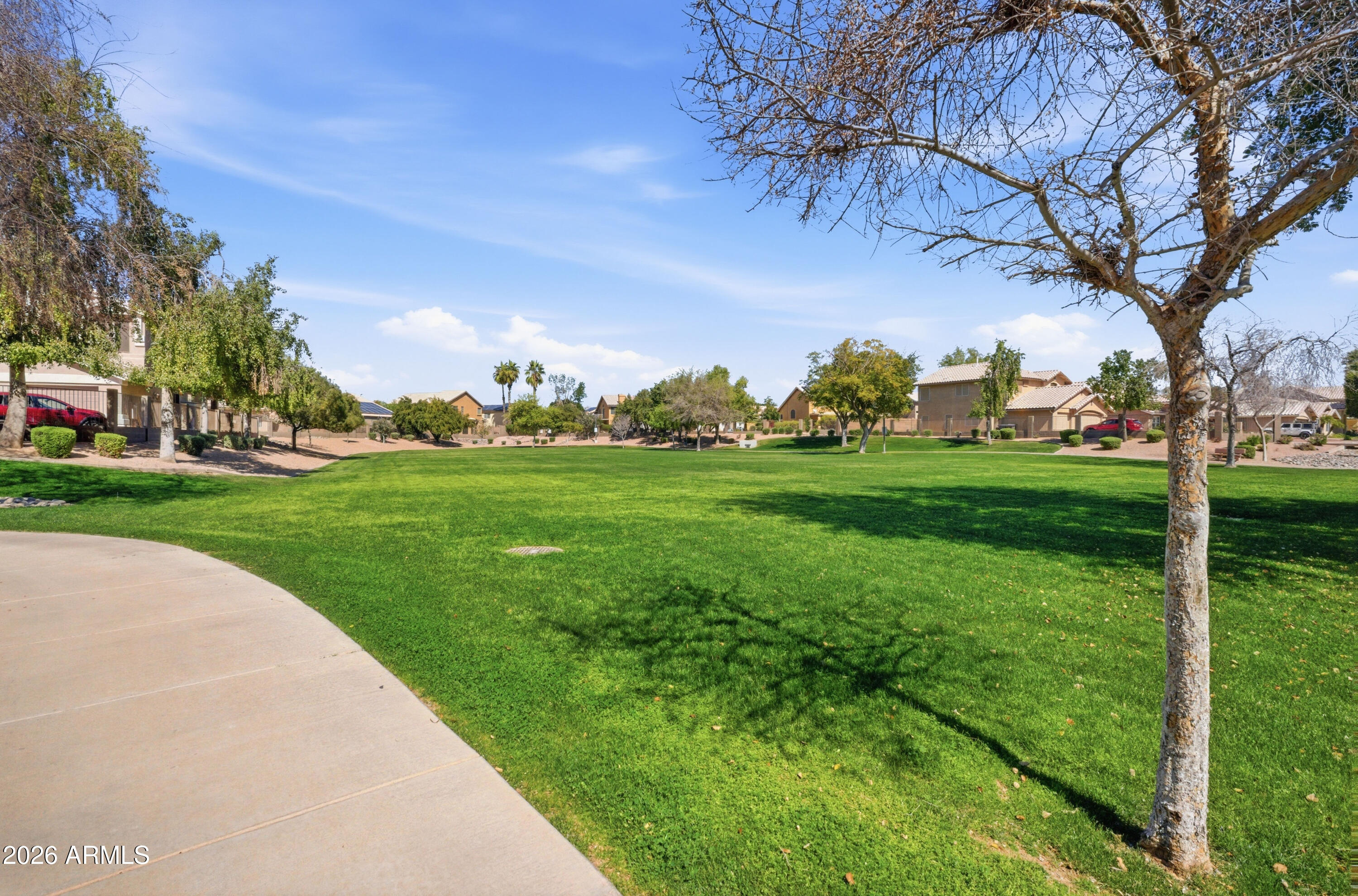 418 South Burk Street Gilbert, AZ 85296 - Photo 89 of 90 a view of a park with large trees