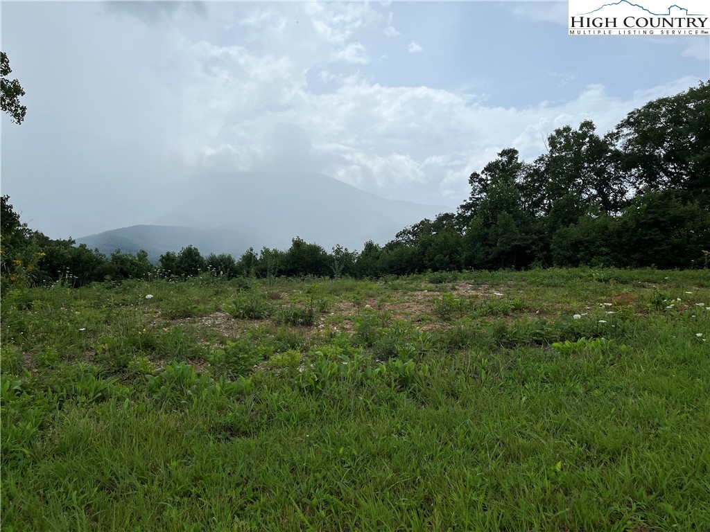 Cabbage Patch Road Burnsville, NC 28714 - Photo 11 of 23 a view of a field of grass and trees