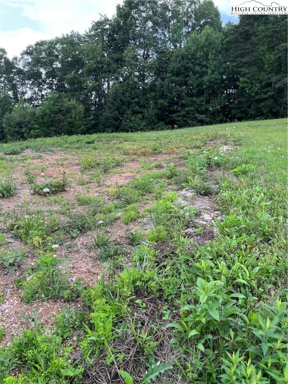 Cabbage Patch Road Burnsville, NC 28714 - Photo 16 of 23 a view of outdoor space with deck and yard