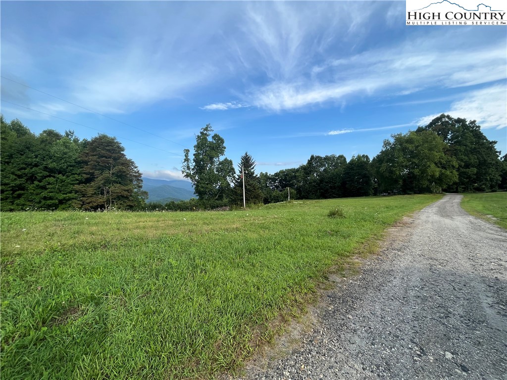 Cabbage Patch Road Burnsville, NC 28714 - Photo 17 of 23 a view of a garden with large trees