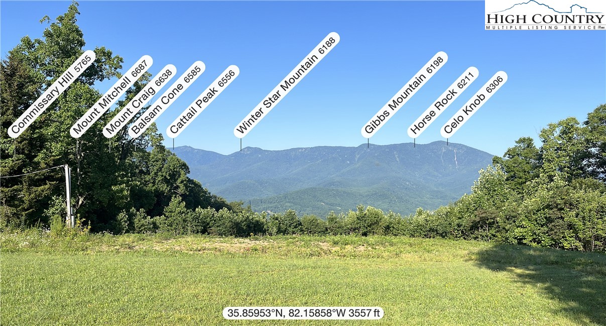 Cabbage Patch Road Burnsville, NC 28714 - Photo 19 of 23 a view of a big yard with potted plants and large trees