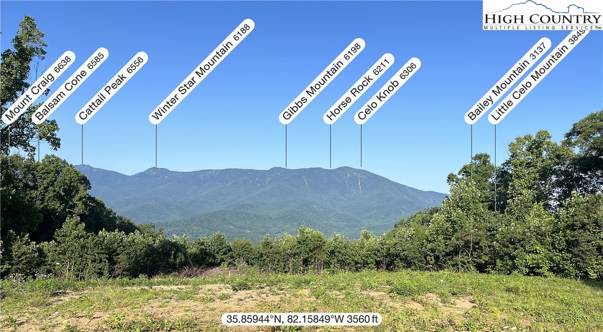 Cabbage Patch Road Burnsville, NC 28714 - Photo 20 of 23 a view of a city