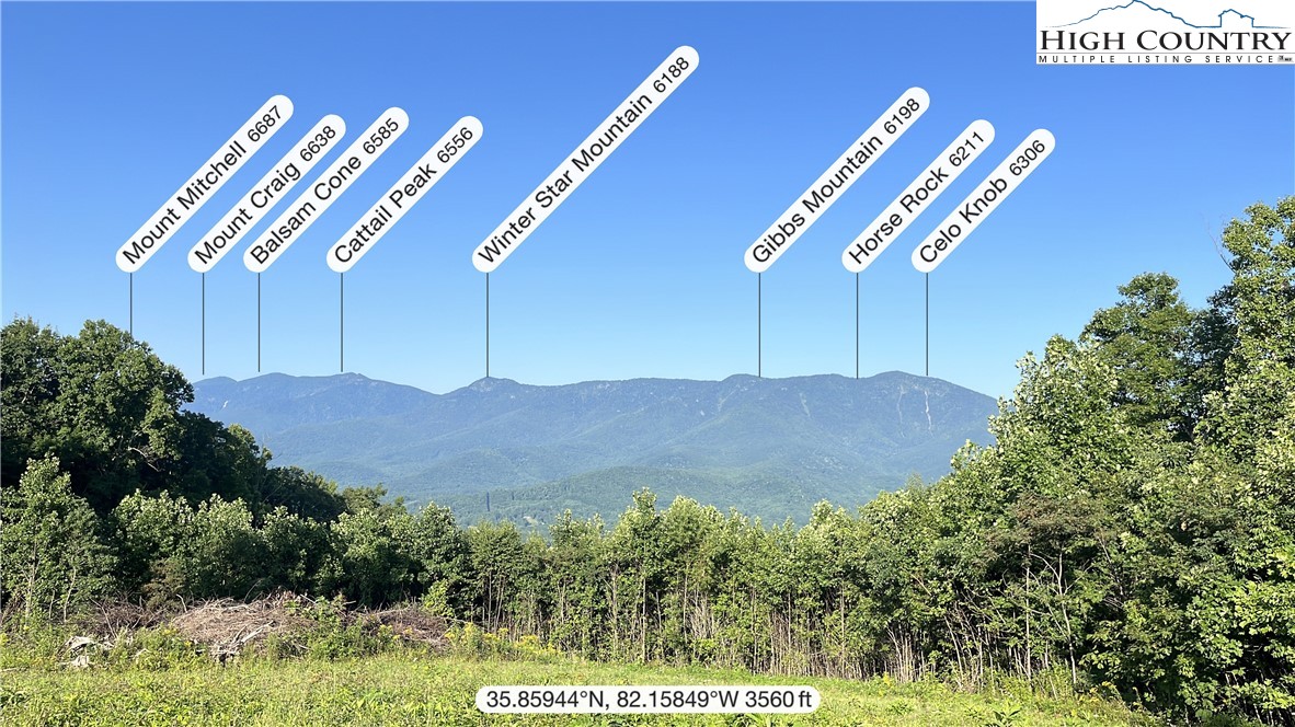 Cabbage Patch Road Burnsville, NC 28714 - Photo 2 of 23 a view of a back yard