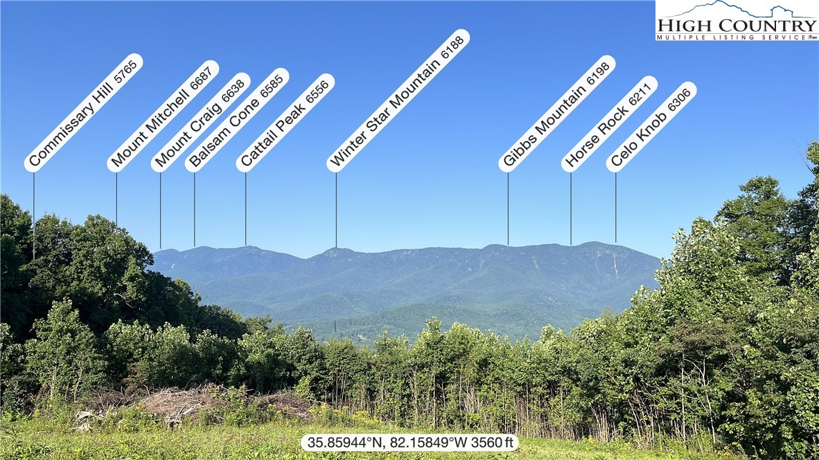 Cabbage Patch Road Burnsville, NC 28714 - Photo 4 of 23 a backyard of a house with a garden and plants