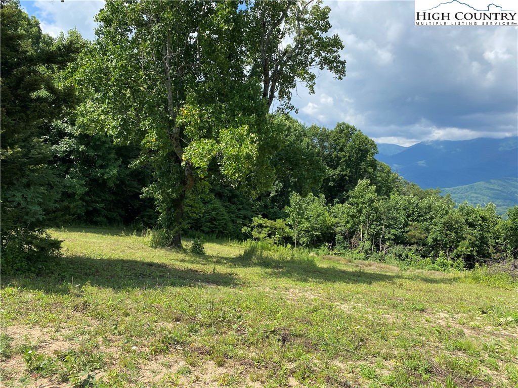Cabbage Patch Road Burnsville, NC 28714 - Photo 5 of 23 a view of a trees in a yard