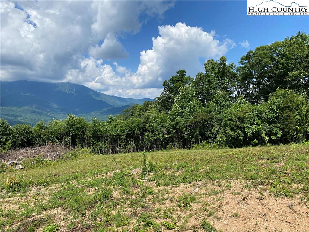 Cabbage Patch Road Burnsville, NC 28714 - Photo 6 of 23 a view of a garden with a building in the background